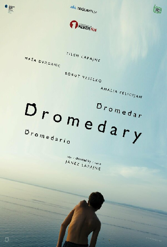 Dromedar