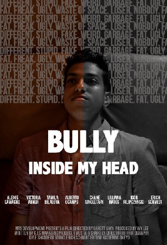 The Bully Inside My Head
