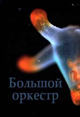 Большой оркестр