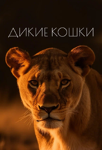 Дикие кошки