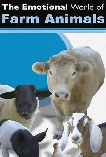 Постер «The Emotional World of Farm Animals»