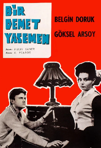 Bir Demet Yasemen