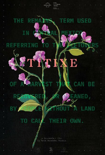 Titixe