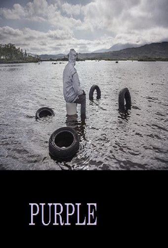 Пурпур