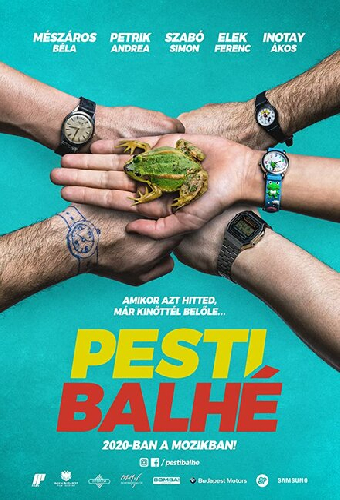 Pesti balhé