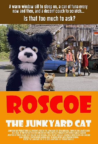 Roscoe the Junkyard Cat