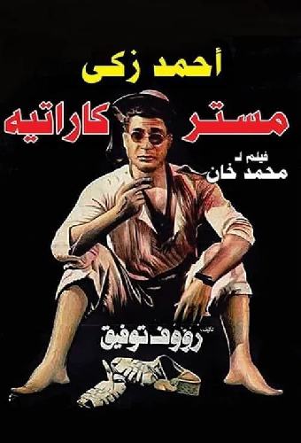 Мистер Карате