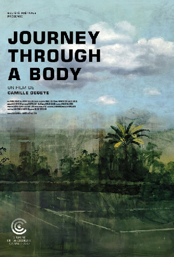 Journey Through a Body