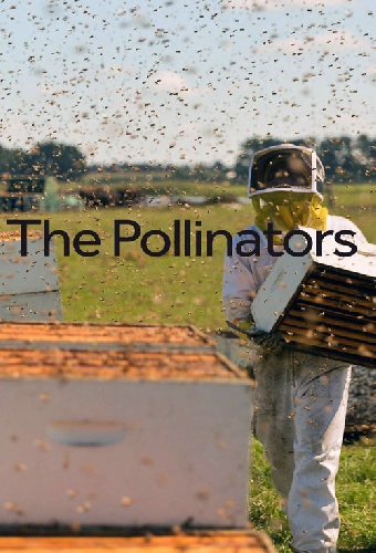 The Pollinators