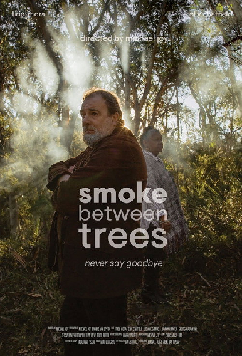 Smoke Between Trees
