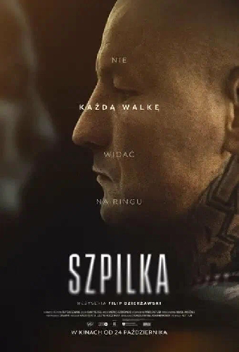 Шпилька