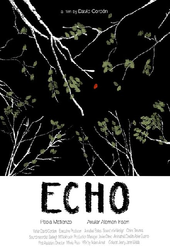 Echo