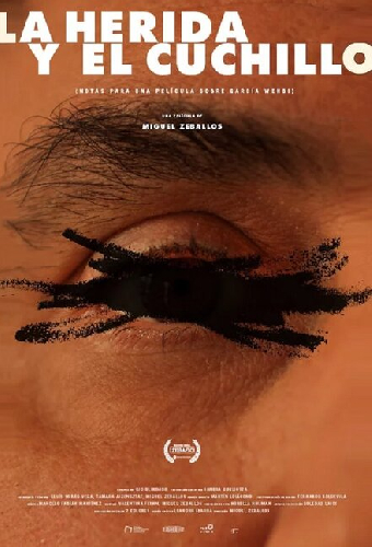 La herida y el cuchillo (Notas para un film sobre García Wehbi)