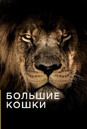 Большие кошки