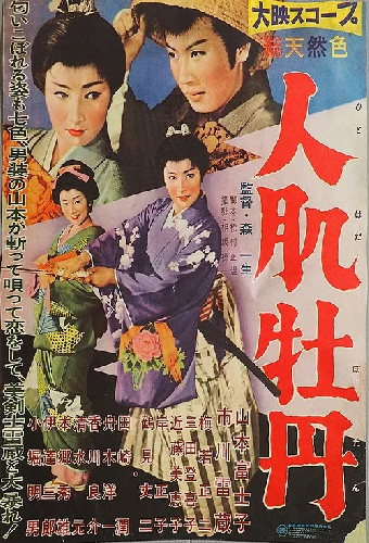 人肌牡丹