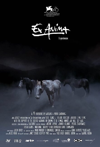 Ex Anima Experience
