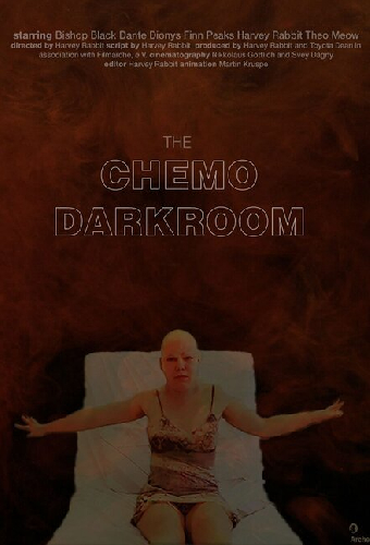 The Chemo Darkroom