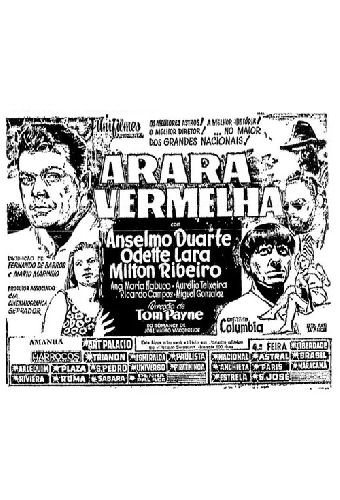 Arara Vermelha