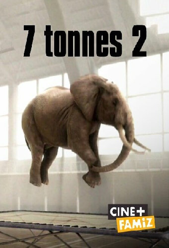 7,2 тонны