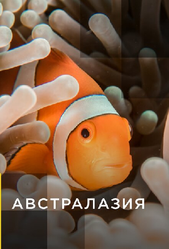 Австралазия