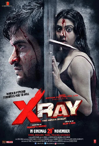 X Ray: The Inner Image