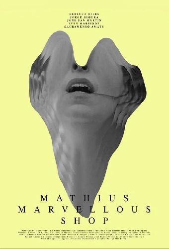 Mathius Marvellous Shop
