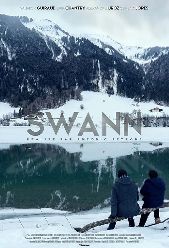 Swann