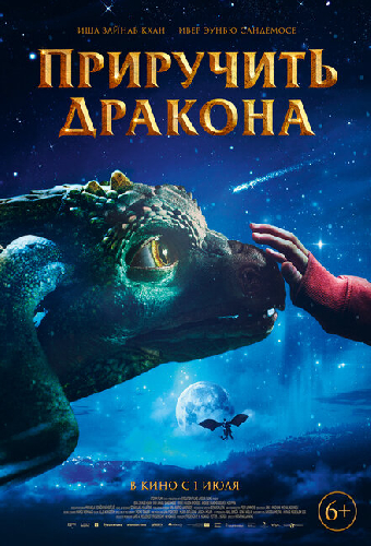 Приручить дракона