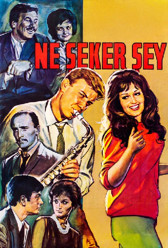 Ne Şeker Şey
