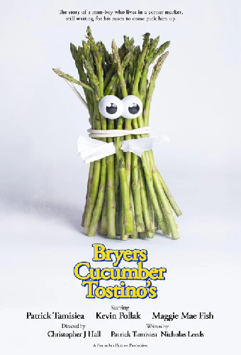 Bryers Cucumber Tostinos