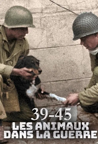 39-45, les animaux dans la guerre