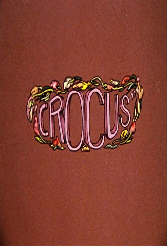 Crocus