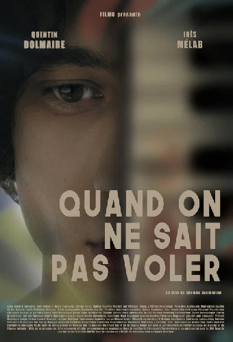 Quand on ne sait pas voler