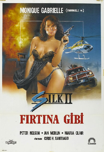 Шелк 2
