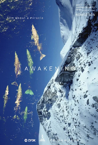 Awakening