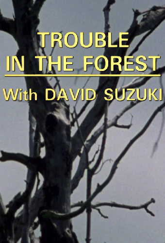 Trouble in the Forest