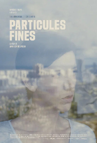 Particules fines