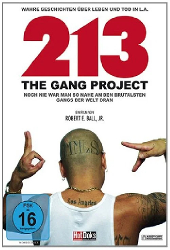 213 - The Gang Project
