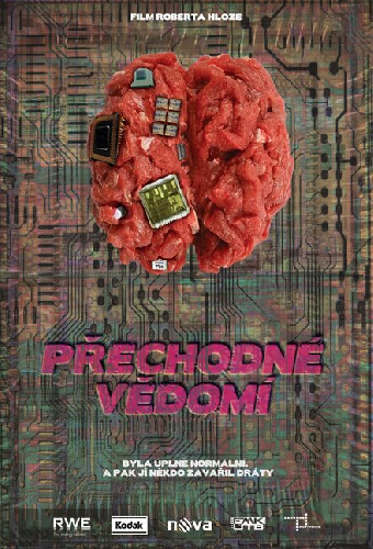 Přechodné vědomí