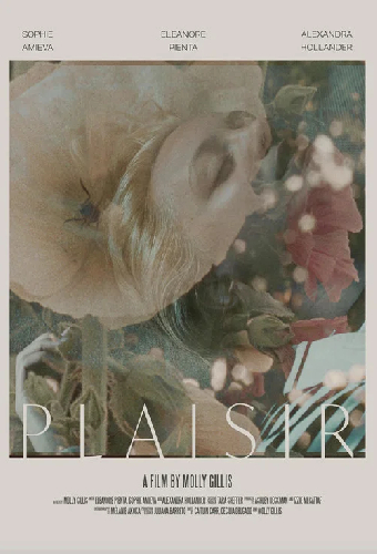 Plaisir