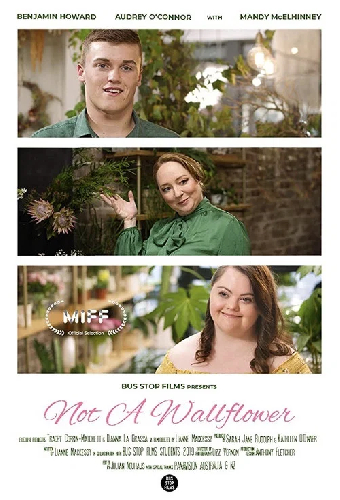 Not a Wallflower
