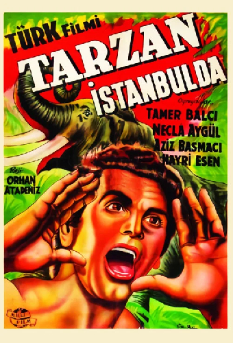 Tarzan İstanbul'da