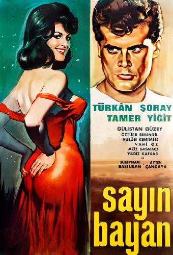 Sayın Bayan