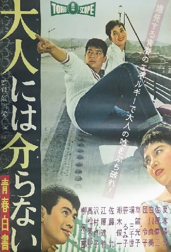 青春白書 大人には分らない