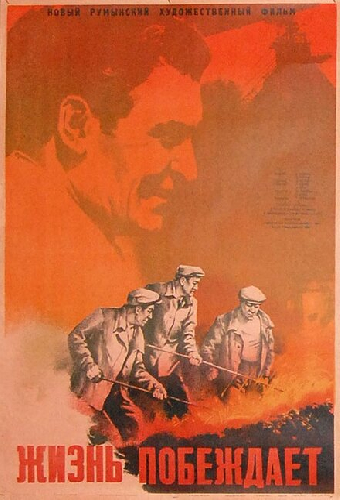 Жизнь побеждает