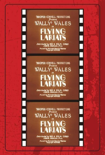 Flying Lariats
