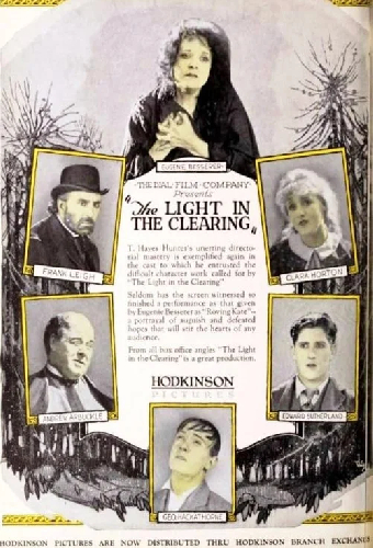 The Light in the Clearing