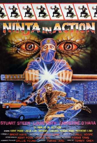 Ninja in Action