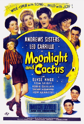 Moonlight and Cactus
