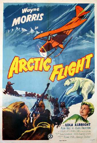 Arctic Flight